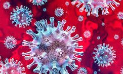 आगामी छह दिसम्बर तक रहेगा लॉकडाउन