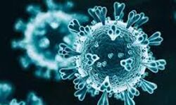 इस देश में लगेगा 21 दिन का कर्फ्यू इस देश में लगेगा 21 दिन का कर्फ्यू