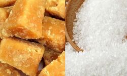 मुजफ्फरनगर: मंडी में गुड़ और चीनी के भाव मुजफ्फरनगर: मंडी में गुड़ और चीनी के भाव