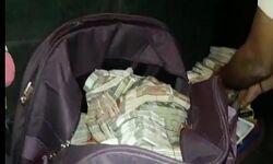 UP : गन्ने के खेत में मिले 2 हजार, 5 सौ के नोट, मची लूट