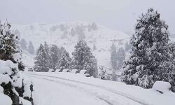 बर्फबारी के बीच 18 घंटे फंसे रहे भेड़पालक बर्फबारी के बीच 18 घंटे फंसे रहे भेड़पालक