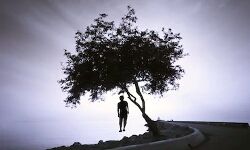 आर्थिक तंगी से परेशान किसान के बेटे ने की आत्महत्या