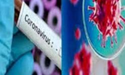 मुज़फ्फरनगर में आज 47 कोरोना संक्रमित मिले मुज़फ्फरनगर में आज 47 कोरोना संक्रमित मिले