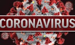 राजधानी से सटे इलाकों में कोरोना की रफ्तार तेज राजधानी से सटे इलाकों में कोरोना की रफ्तार तेज