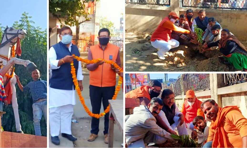 हिंदू महासभा एवं जन कल्याण ट्रस्ट ने किया झांसी रानी पार्क में वृक्षारोपण