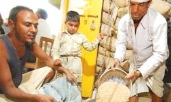 30 नवम्बर को समाप्त हो जायेगी मुफ्त राशन योजना 30 नवम्बर को समाप्त हो जायेगी मुफ्त राशन योजना