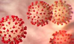 सार्वजनिक जगहों पर निशुल्क कोरोना जांच करेगी सरकार