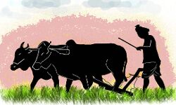 किसानों ने किया सरकार का प्रस्ताव खारिज