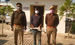 STF ने किया 11 साल से फरार चल रहे इनामी बदमाश को गिरफ्तार STF ने किया 11 साल से फरार चल रहे इनामी बदमाश को गिरफ्तार