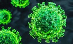 कोविड-19- सुपर पॉवर देश में 2.67 लाख लोगों की मौत