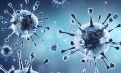 कोविड-19 से एक सप्ताह में 10 हजार लोगों की मौत