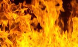 बहू ने सास को जिंदा जलाया बहू ने सास को जिंदा जलाया