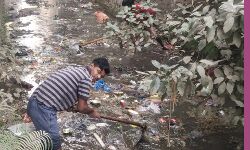 शहर में चला तलीझाड सफाई अभियान शहर में चला तलीझाड सफाई अभियान