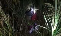 बलात्कार के बाद किशोरी की हत्या कर शव खेत में फेंका बलात्कार के बाद किशोरी की हत्या कर शव खेत में फेंका