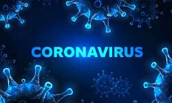 देश में कोरोना जांच के ताज़े आंकड़े देश में कोरोना जांच के ताज़े आंकड़े