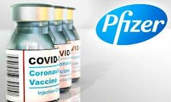 फाइजर कोरोना वैक्सीन की मिलेगी करीब ढाई लाख डोज