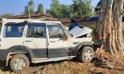 विवाह समारोह से घर लौट रहे 12 से अधिक बाराती घायल