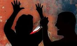 पत्नी की धारदार हथियार से हत्या