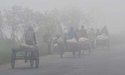 कोहरे के आगोश में यूपी के कई जिले कोहरे के आगोश में यूपी के कई जिले