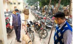 पुलिस ने कचहरी मे चलाया सघन चैकिंग अभियान पुलिस ने कचहरी मे चलाया सघन चैकिंग अभियान