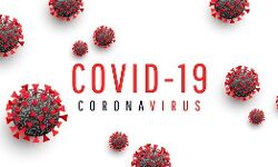 देश में कोरोना जांच के ताज़े आंकड़े देश में कोरोना जांच के ताज़े आंकड़े