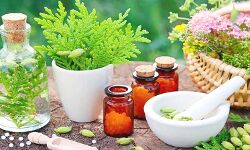 योग व नेचुरोपैथी से ठीक होंगे रोग