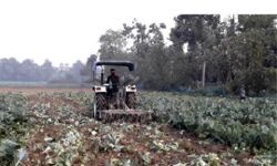 अन्नदाता, कुपित विधाता अन्नदाता, कुपित विधाता