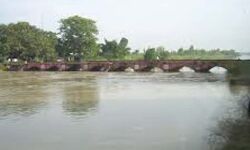 गंग नहर में बहते शव को देखकर लोगों में मची खलबली