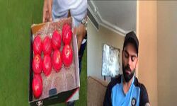 गुलाबी गेंद से टेस्ट में दम दिखाने उतरेगी टीम इंडिया गुलाबी गेंद से टेस्ट में दम दिखाने उतरेगी टीम इंडिया