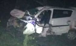 पेड़ से टकराई कार, तीन युवकों की मौत पेड़ से टकराई कार, तीन युवकों की मौत