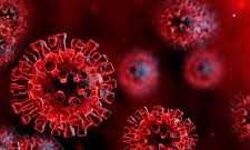 दिल्ली में काेरोना की तीसरी लहर से मिली निजात: केजरीवाल दिल्ली में काेरोना की तीसरी लहर से मिली निजात: केजरीवाल