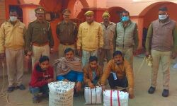 चार तस्कर गिरफ्तार,12 किलो गांजा बरामद चार तस्कर गिरफ्तार,12 किलो गांजा बरामद