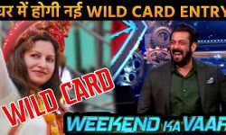 भाजपा नेता लेंगी बिग बॉस के घर में वाइल्ड कार्ड एंट्री भाजपा नेता लेंगी बिग बॉस के घर में वाइल्ड कार्ड एंट्री