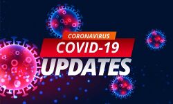 देश में कोरोना जांच के ताज़े आंकड़े देश में कोरोना जांच के ताज़े आंकड़े