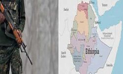 बंदूकधारियों का हमला, 90 से अधिक लोगों की हत्या