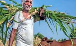 PM किसान योजना में केसीसी बनवाना बहुत आसान PM किसान योजना में केसीसी बनवाना बहुत आसान