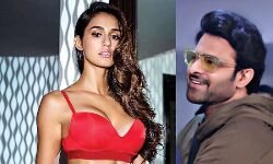 टाइगर को छोड़ दिशा पाटनी ने प्रभास के साथ जोड़ी जमायी टाइगर को छोड़ दिशा पाटनी ने प्रभास के साथ जोड़ी जमायी