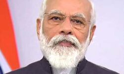 पांच साल की फसल 2020 में काटी