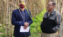संयुक्त निदेशक ने किया गन्ना-चने की सह फसल का निरीक्षण संयुक्त निदेशक ने किया गन्ना-चने की सह फसल का निरीक्षण
