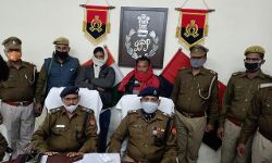 पुलिस ने ट्रक से बरामद किये 14 गौवंश पुलिस ने ट्रक से बरामद किये 14 गौवंश