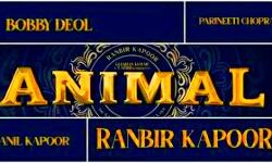 फिल्म एनिमल में काम करेंगे बॉलीवुड के रॉकस्टार फिल्म एनिमल में काम करेंगे बॉलीवुड के रॉकस्टार