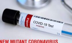 अलर्ट- सहारनपुर में मिला कोरोना के नये स्ट्रेन से संक्रमित