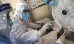 कोरोना के सक्रिय मामलों में गिरावट जारी कोरोना के सक्रिय मामलों में गिरावट जारी