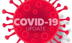 बारह दिन में मौतों का आंकड़ा 300 पर पहुंचा