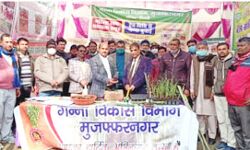 मेलों में किसानों का सम्मान कर दिये प्रशस्ति पत्र मेलों में किसानों का सम्मान कर दिये प्रशस्ति पत्र