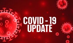 फिर आये लगभग 20 हजार कोरोना के नए मामले फिर आये लगभग 20 हजार कोरोना के नए मामले