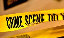 नशे में बेहोश था पति, पत्नी ने किया हथौड़े से वार