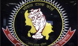 STF ने नियुक्त फर्जी शिक्षक को किया गिरफ्तार STF ने नियुक्त फर्जी शिक्षक को किया गिरफ्तार