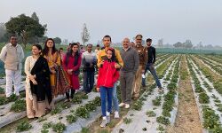 एक बीघा जमीन पर खेती कर कमाएं 6 लाख एक बीघा जमीन पर खेती कर कमाएं 6 लाख