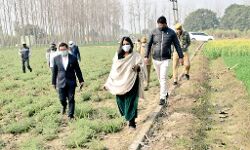 DM ने किया गन्ना विभाग की अधार पौधशाला एवं सहफसली खेती का निरीक्षण DM ने किया गन्ना विभाग की अधार पौधशाला एवं सहफसली खेती का निरीक्षण